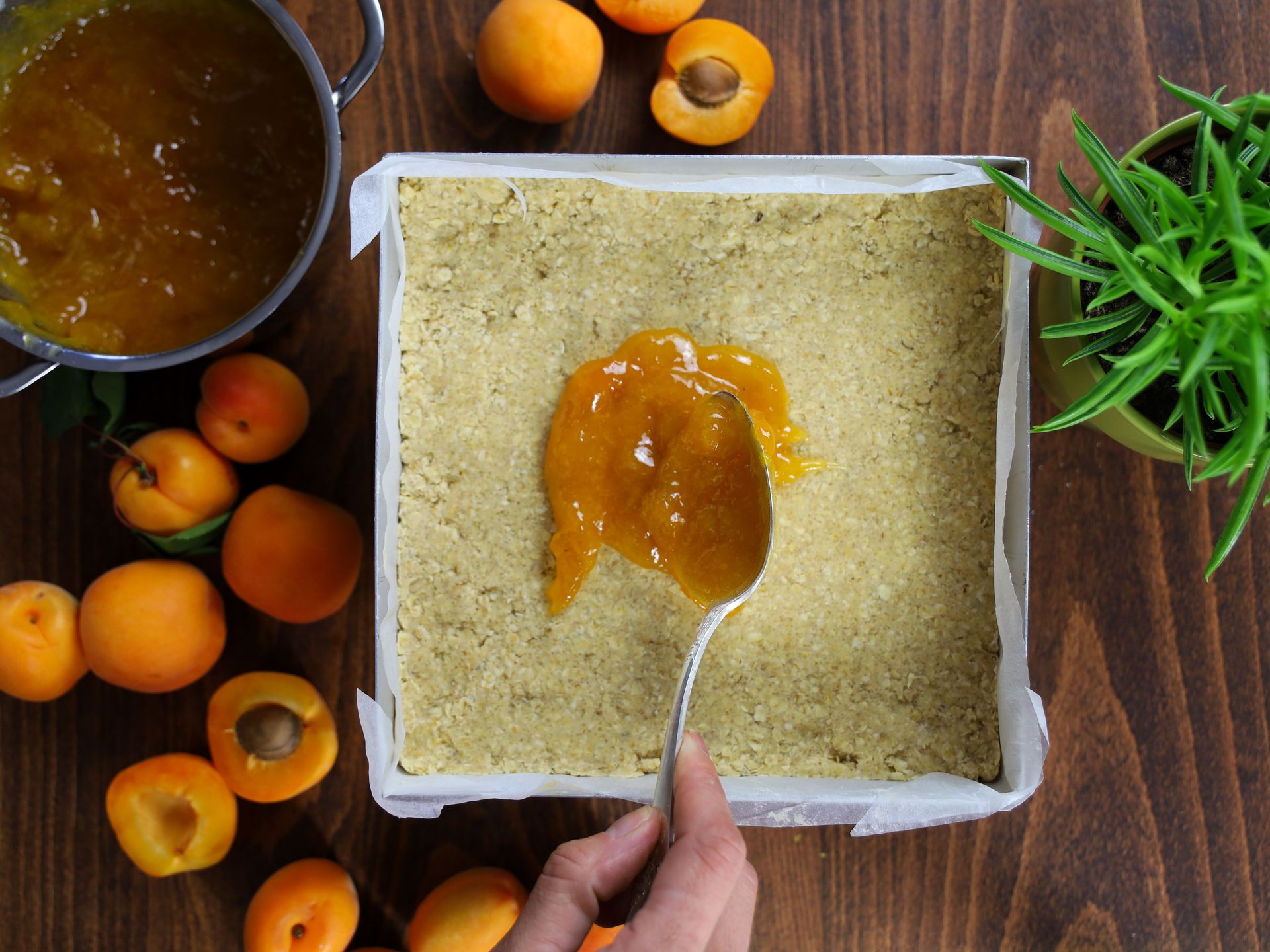 oat crumble .jpg
