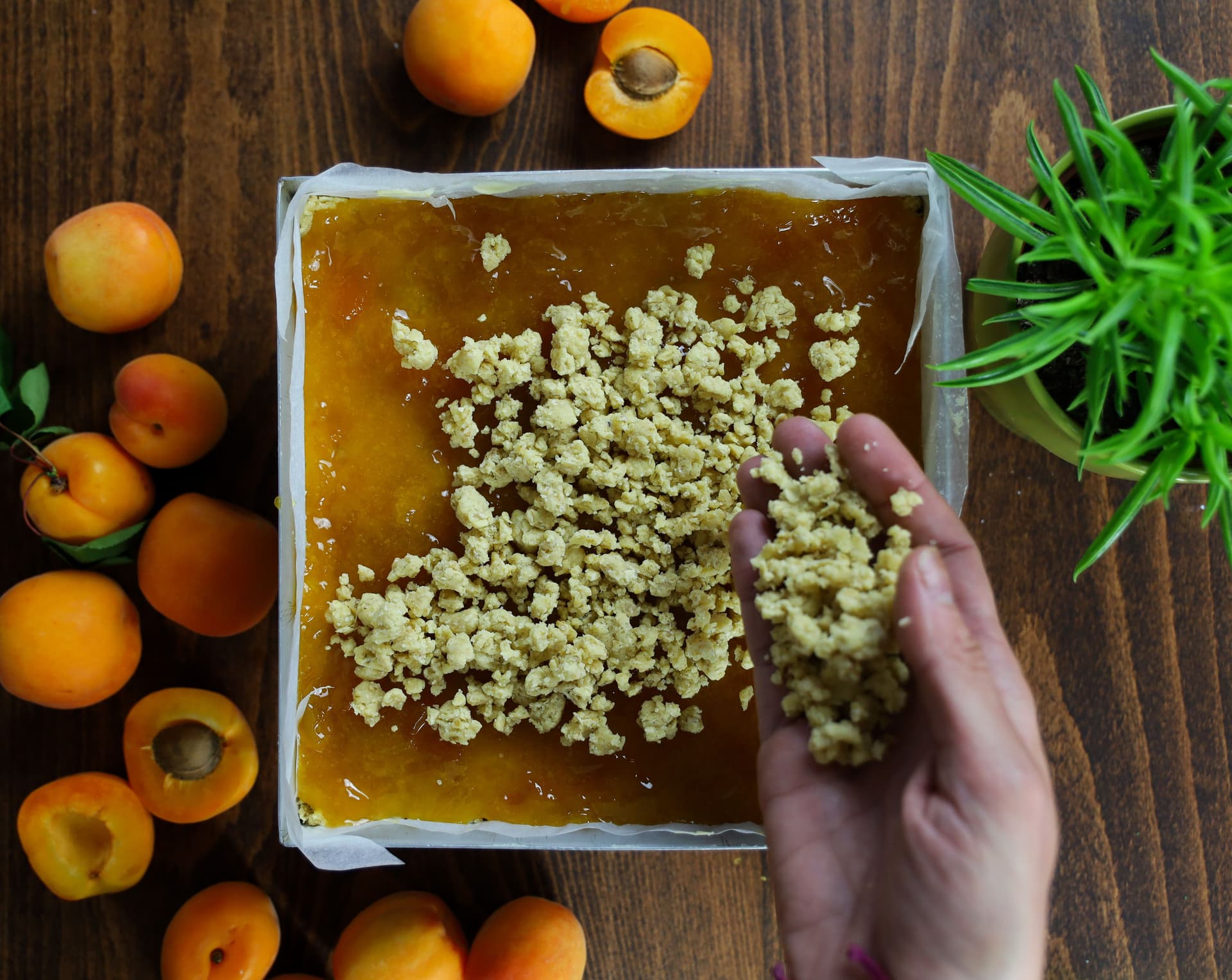 Crumble μπάρες με βερίκοκο – φωτογραφία 2